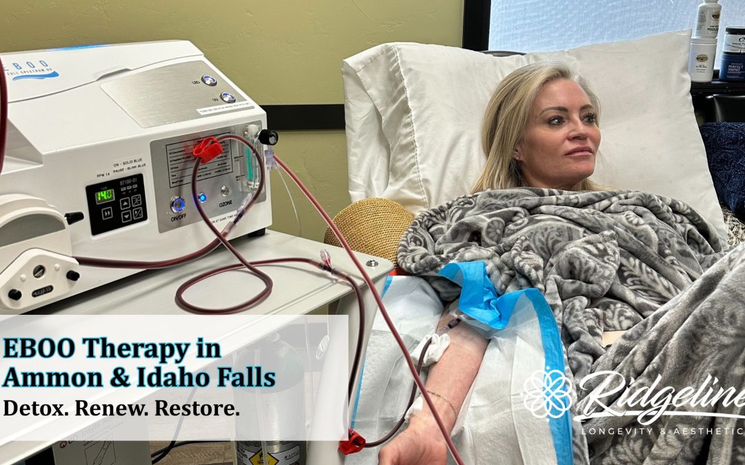 EBOO Therapy in Ammon and Idaho Falls: Detox, Renew, Restore